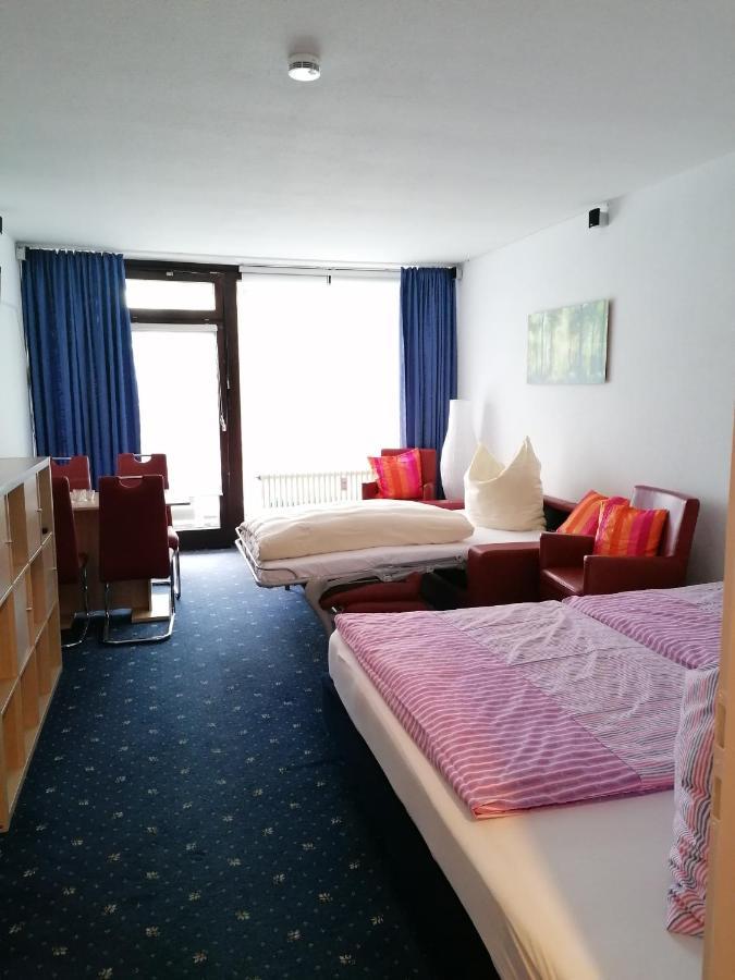 Kranichsee-Apartment กอสลาร์ ภายนอก รูปภาพ